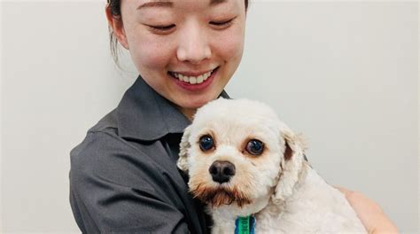 pawshake melbourne